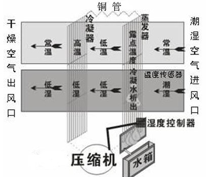 冰箱制冷利用什么原理工作_冰箱制冷工作原理图解(3)