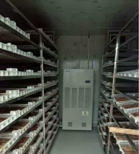 脫水蔬菜烘干除濕機