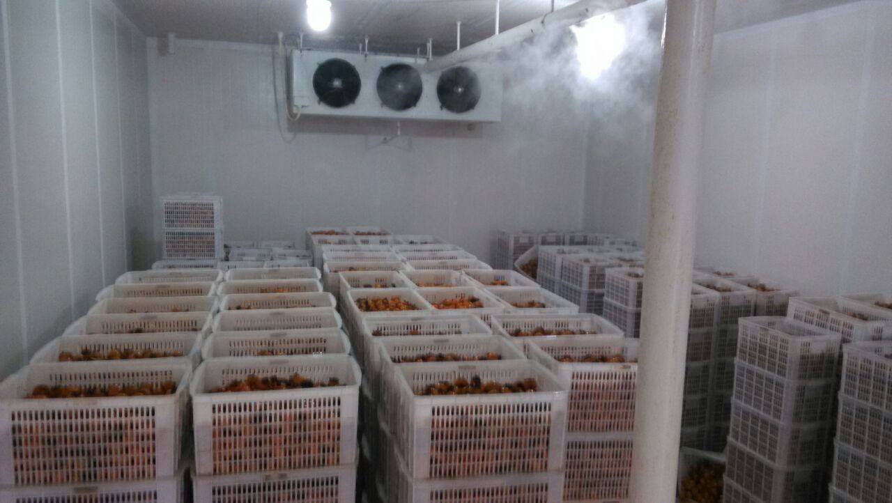 蔬菜冷库保鲜加湿器稳定供给_公司新闻_新闻