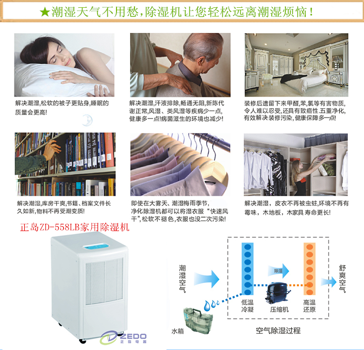 别墅除湿机