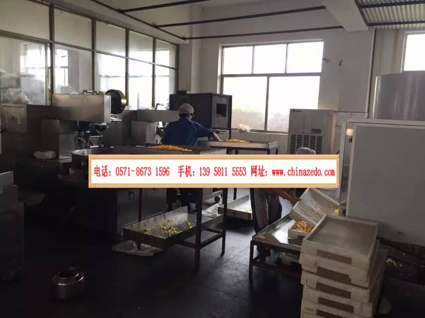 糖果加工厂用除湿机