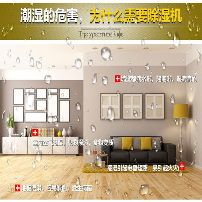 别墅用吊顶式除湿机