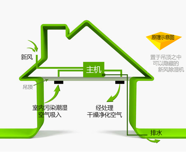 防霾中央新风除湿机