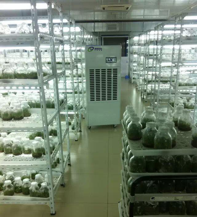 温室大棚除湿机