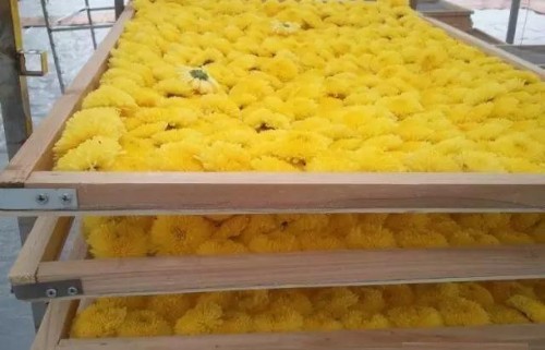 菊花烘干除湿机