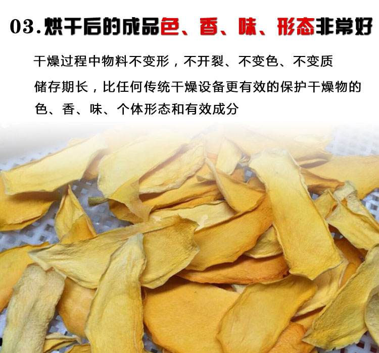 芒果烘干除湿机