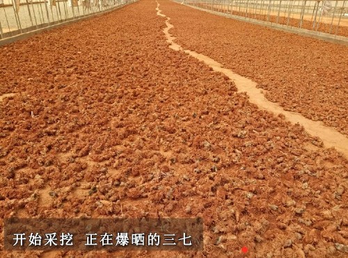 烘干除湿机