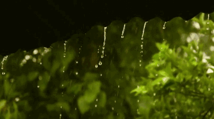 除湿机