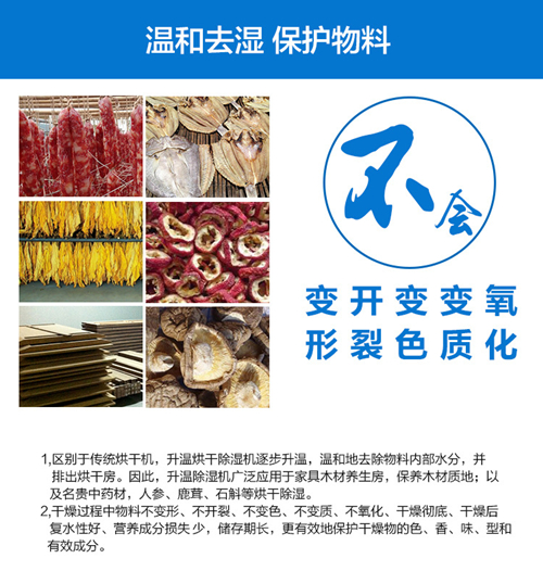 柠檬片烘干除湿机