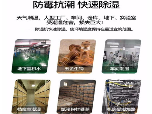 好用不贵的除湿机