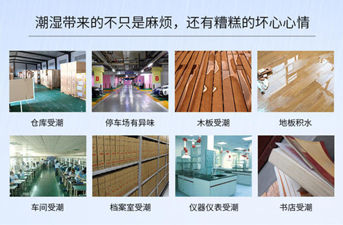 快速清除潮气用除湿机