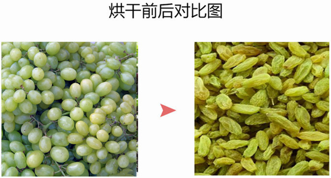 葡萄干烘干除湿机
