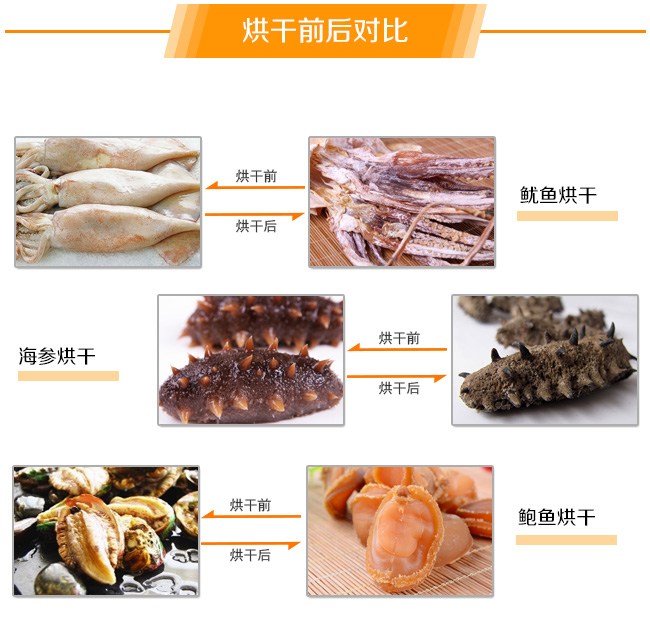 海鲜烘干机