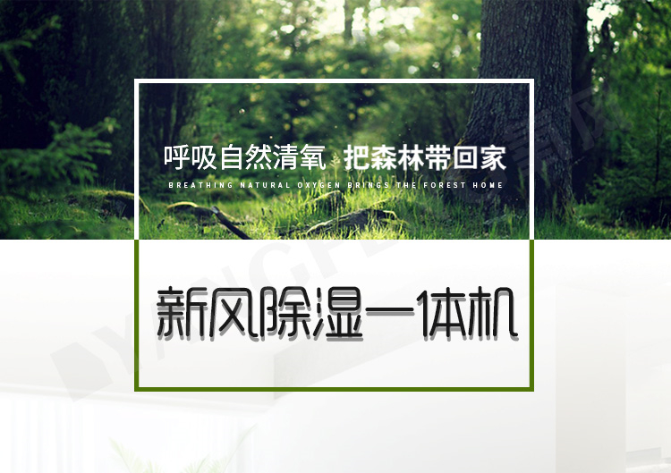 中央除湿机