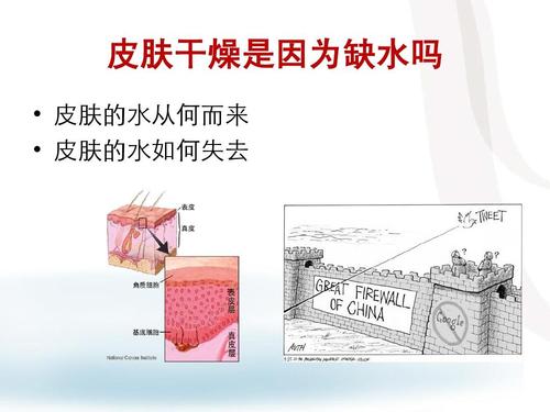 取暖季，用加湿机补水呵护肌肤