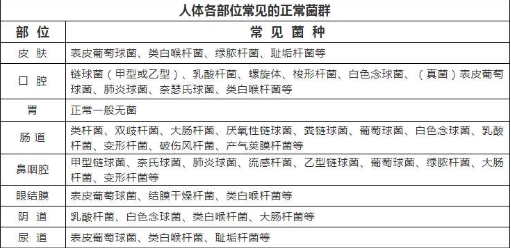 人体全身喷雾消毒机.png