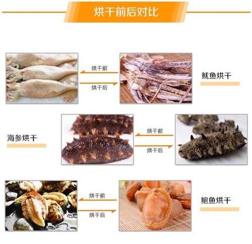 水产品烘干除湿机