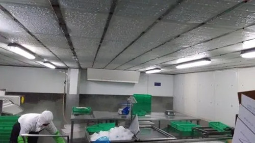 食品厂消除冷凝水的措施 冷凝水消除抽湿机