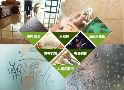 潮湿的危害.jpg