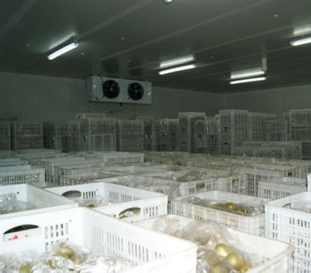 猕猴桃气调库加湿器.jpg