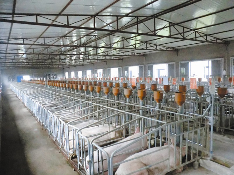 养猪场鸡舍牛棚雾化加湿机 为养殖业保驾护航