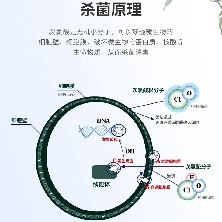 公共场所消毒原理