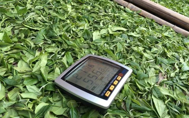 茶叶萎凋室除湿机