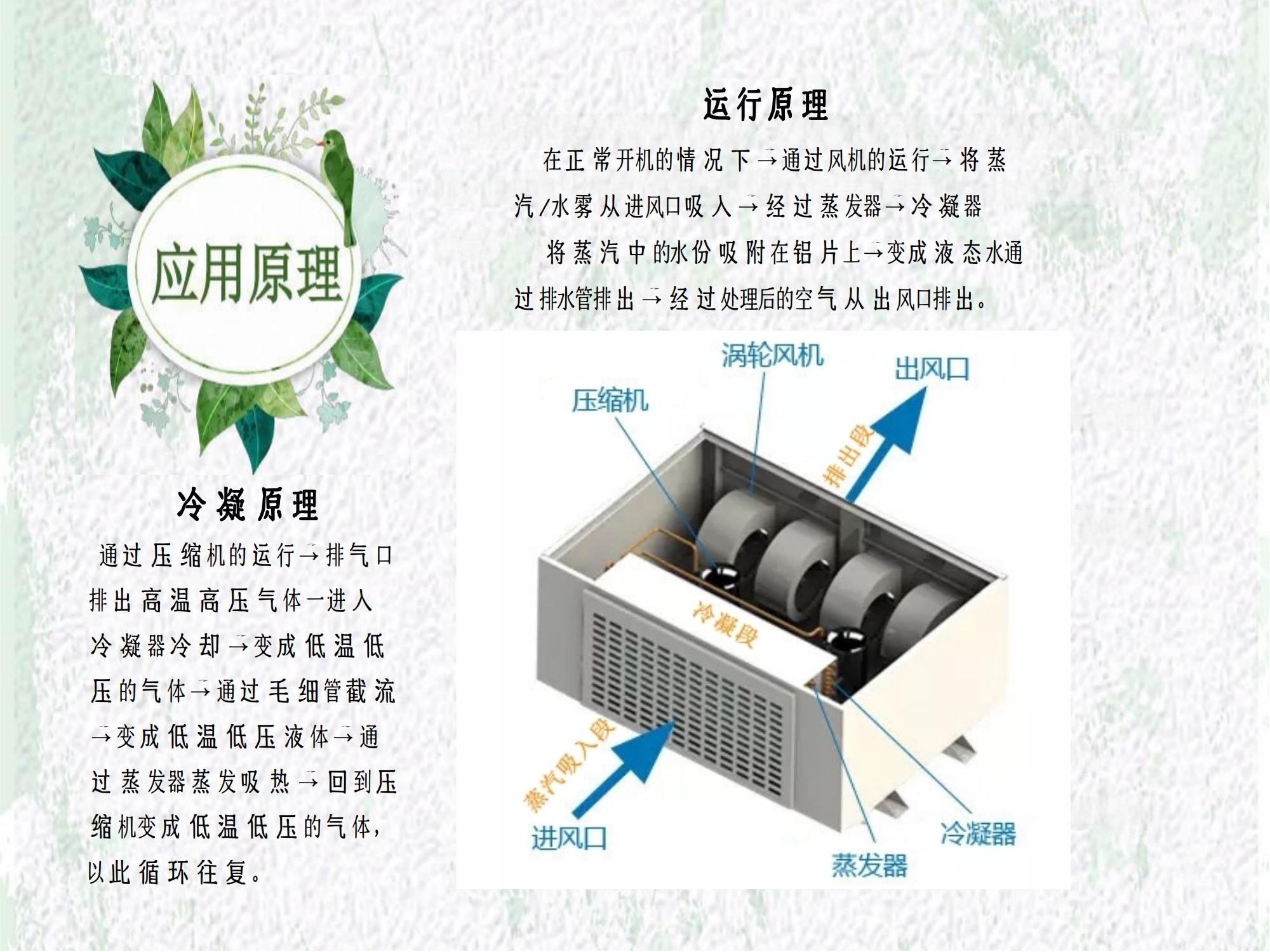 蒸煮车间蒸汽收集装置