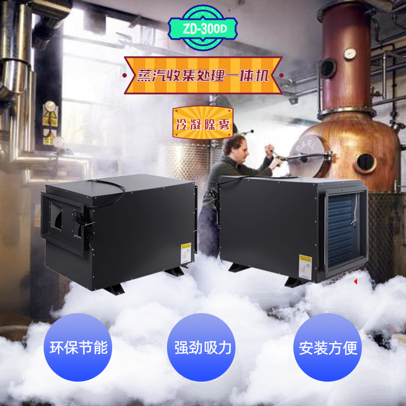 蒸汽去除机