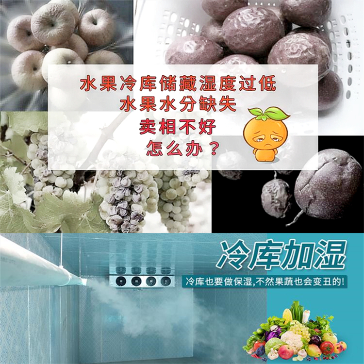 水果保鲜库加湿机